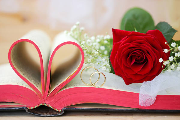 This jpeg image - Wedding Background with Red Rose and Rings, is available for free download