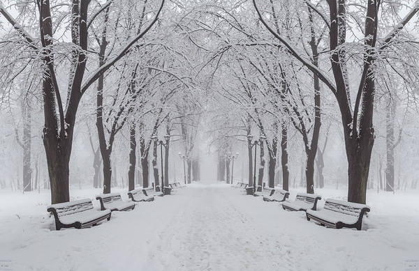 This jpeg image - Winter Park Background, is available for free download