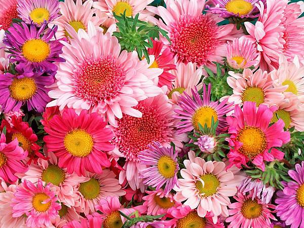 This jpeg image - Flowers Background, is available for free download