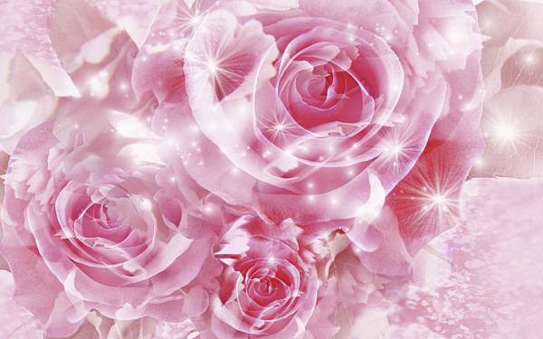 This jpeg image - Pink rose wallpaper, is available for free download