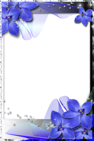 This png image - Beautiful Transparent Frame with Blue Orchids, is available for free download