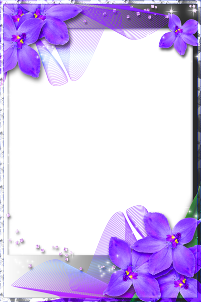 Beautiful Transparent Frame with Purple Orchids | Gallery Yopriceville