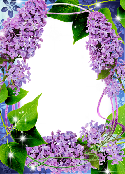 This png image - Beautiful Transparent PNG Frame with Lilac, is available for free download