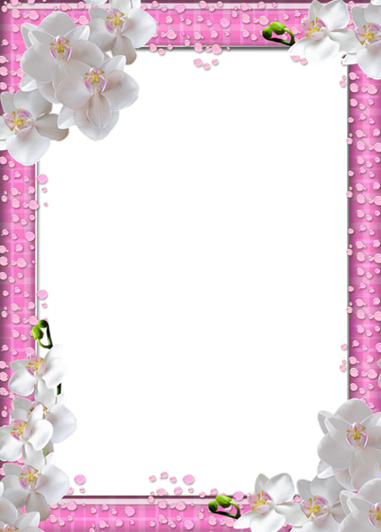 This png image - Cute PNG Pink Photo Frame with White Flowers, is available for free download