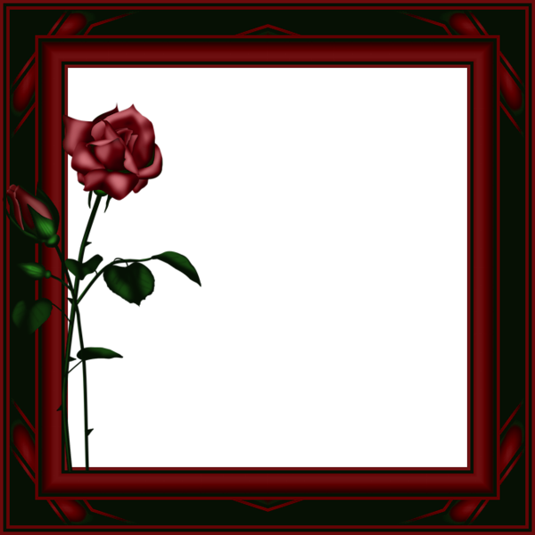 Dark Red Transparent PNG Photo Frame with Roses Gallery Yopriceville