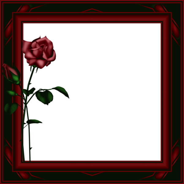 This png image - Dark Red Transparent PNG Photo Frame with Roses, is available for free download