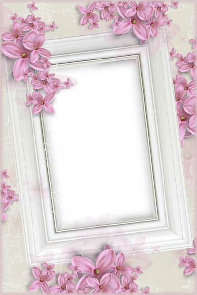 This png image - Delicate White Transparent Frame with Pink Flowers, is available for free download