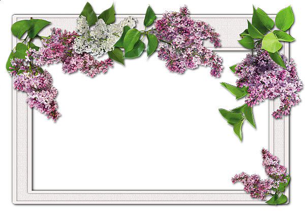 This png image - Flowers frame (13), is available for free download