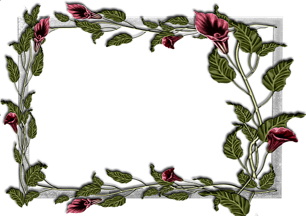 This png image - Flowers frame (14), is available for free download
