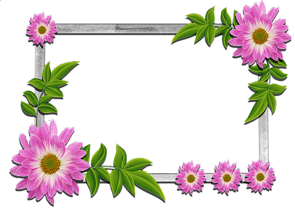 This png image - Flowers frame (5), is available for free download