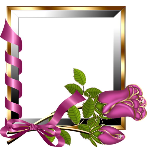 This png image - Gold and Silver Transparent Frame with Pink Roses, is available for free download