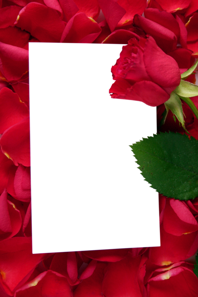This png image - Large Transparent Vertical Frame with Red Roses, is available for free download