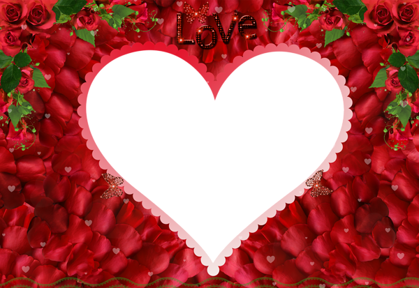 This png image - Love Rose Red Transparent PNG Photo Frame, is available for free download