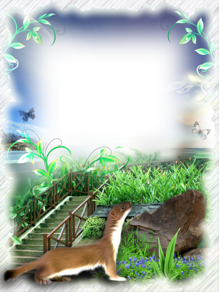 Nature Transparent Photo Frame | Gallery Yopriceville - High-Quality Images and Transparent PNG