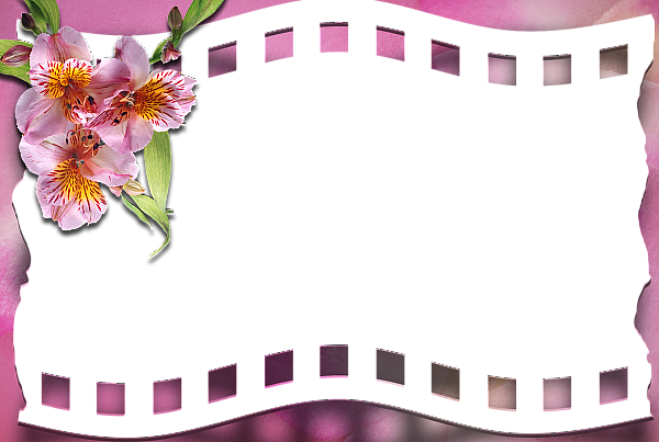 This png image - Pink Transparent Frame with Pink Flower, is available for free download