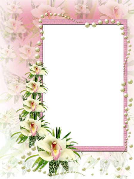Pink and White Flowers Frame with Pearls | Gallery Yopriceville - High
