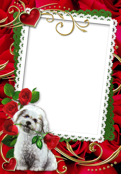 This png image - Puppy with Red Roses Transparent Frame, is available for free download