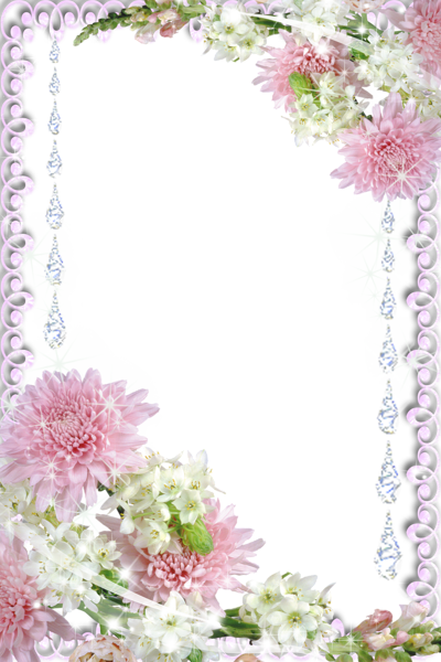 Real Flowers Transparent PNG Photo Frame | Gallery Yopriceville - High