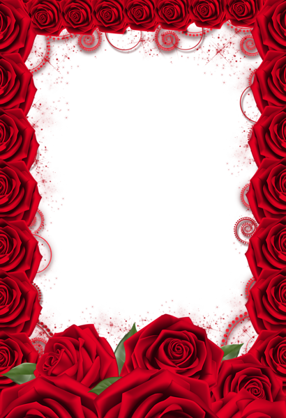 Red Rose Transparent PNG Frame | Gallery Yopriceville - High-Quality
