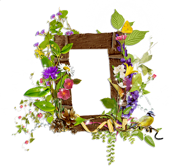 This png image - Shining Transparent Frame with Wild Flowers and Moon, is available for free download