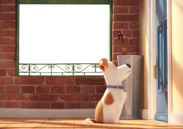 This png image - The Secret Life of Pets Kids Transparent PNG Frame, is available for free download