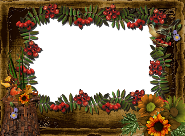 This png image - Transparent Fall Frame with Bird, is available for free download