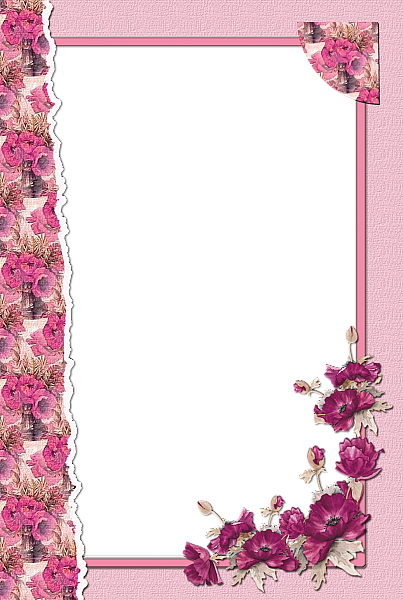 This png image - Transparent Flower Pink Frame, is available for free download