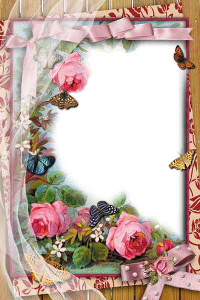 Transparent Frame with Flowers and Butterflies | Gallery Yopriceville