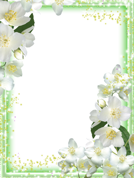 Transparent Green Flowers Frame | Gallery Yopriceville - High-Quality