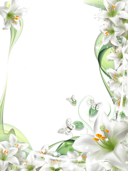 This png image - Transparent PNG Photo Frame with White Lilies Flowers, is available for free download