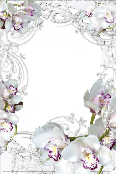 Transparent PNG Photo Frame with White Orchids | Gallery ...