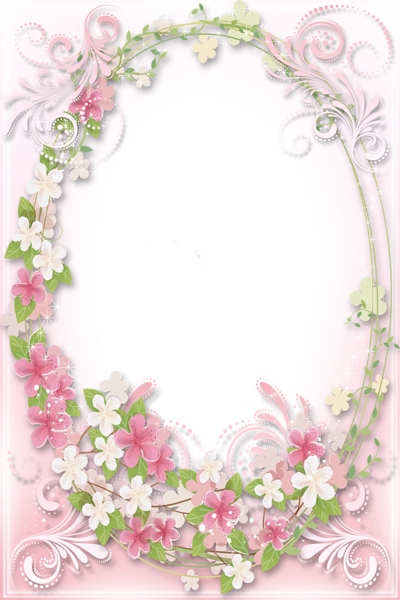 Transparent Soft Pink Flowers Frame