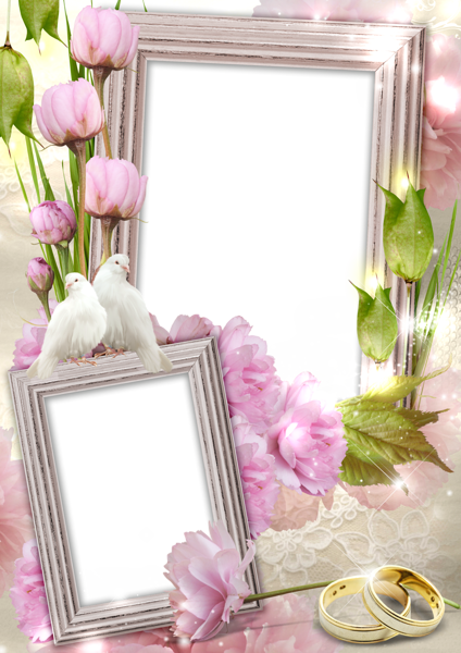 This png image - Transparent Wedding Frame with Rings and Doves, is available for free download