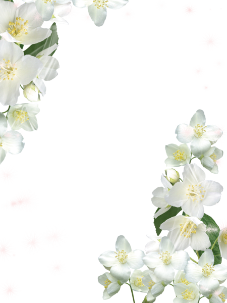 This png image - Transparent White Photo Frame with White Flowers, is available for free download
