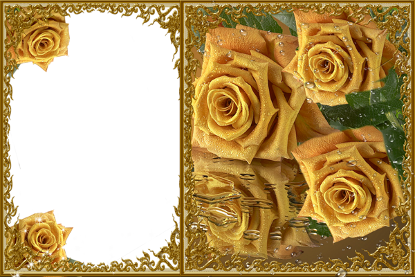 Transparent Yellow Roses Frame | Gallery Yopriceville - High-Quality