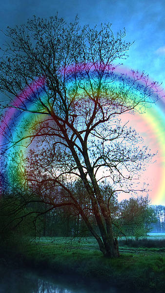 This jpeg image - Rainbow Tree iPhone 6S Plus Wallpaper, is available for free download