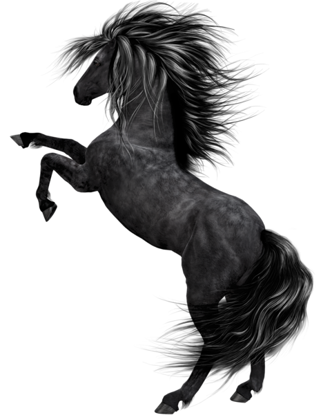 This png image - Black Horse Art, is available for free download