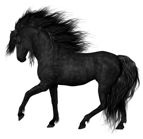 Horse / Siyah Beyaz Safkan Atlar - Png Siyah Beyaz At Resimleri | Gözde