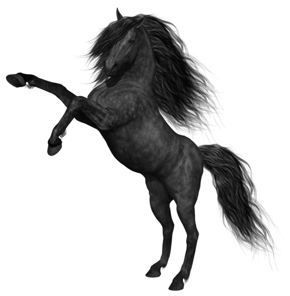 This png image - Black Horse PNG Picture, is available for free download