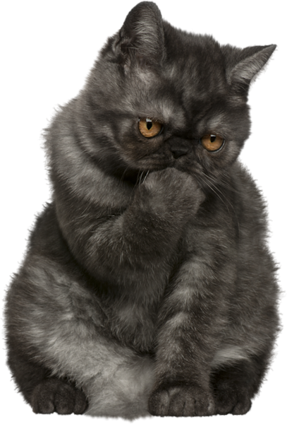 clipart png- cats and kittens - photo #20
