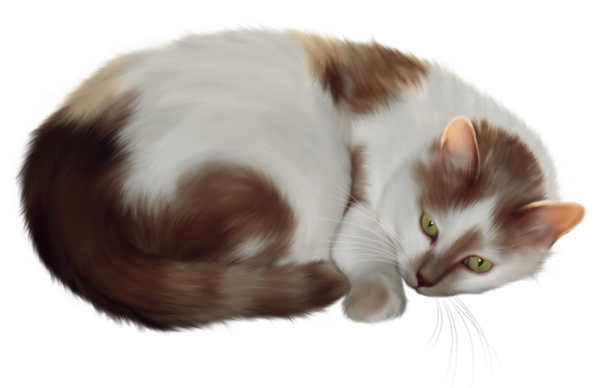 This png image - Cat Transparent PNG Clipart, is available for free download