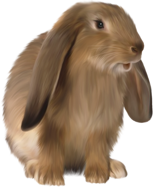 This png image - Cute Brown Bunny PNG Picture, is available for free download