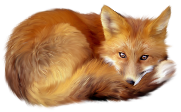 This png image - Fox Clipart, is available for free download