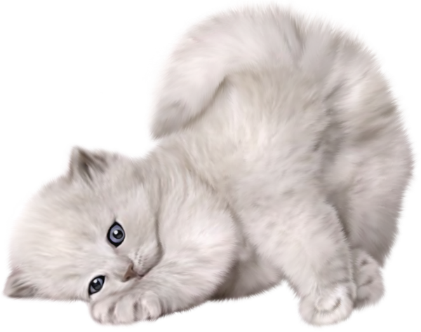 This png image - Large PNG Cute Cat Picture, is available for free download