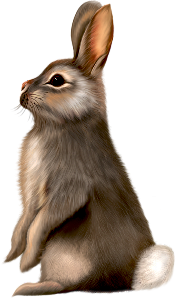 Painted Brown Bunny Clipart | Gallery Yopriceville - High-Quality