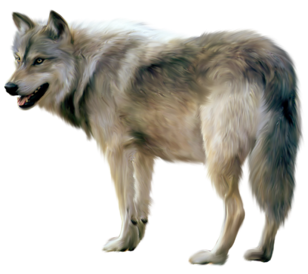 This png image - Painted Wolf Clipart, is available for free download