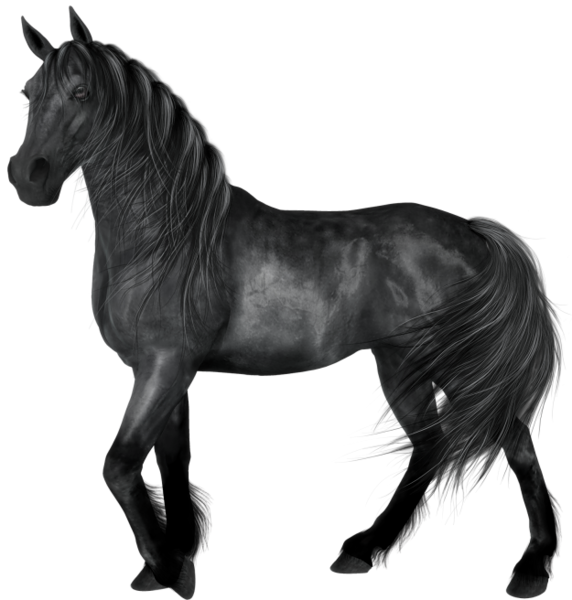 This png image - Transparent Black Horse, is available for free download