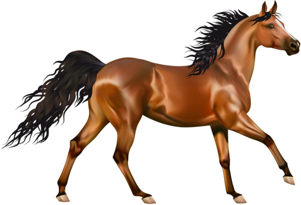 This png image - Transparent Brown Horse PNG Clipart, is available for free download