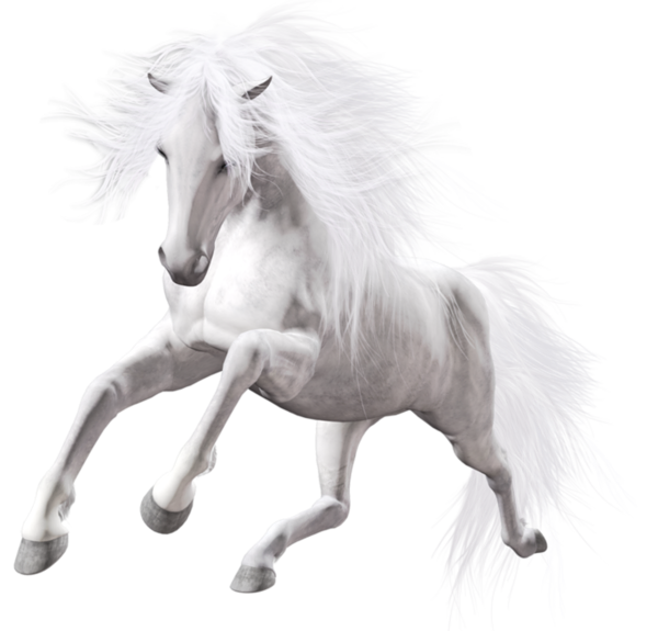 This png image - Transparent White Horse Art, is available for free download