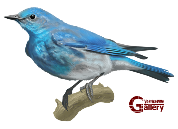 This png image - Blue Bird Hand Drawn PNG Clipart, is available for free download